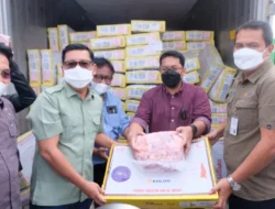 Jaga Tren Kenaikan Permintaan Daging Ramadan & Idul Fitri, Bulog Lakukan Ini