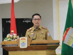 Wabah PMK Masuk, Palembang Sigap Lakukan Ini