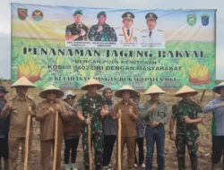 Sulap lahan rawan karhutlah jadi ladang jagung