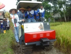 Jaga stabilitas pangan, dorong produktivitas petani
