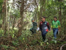 Daerah Ini Bakal Sulap Hutan Kota jadi Wahan Outbond