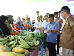 Taman Toga Babat Toman, Selain Ditanami Tanaman Obat, Ada Lagi yang Bikin Menarik, Intip Yuk !