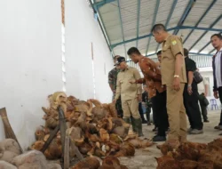 20 ton per hari limbah bisa hasilkan cuan, caranya ?