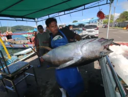 Kumpulkan Nilai Rp1,26 T, Hasil Ikan Tangkap Selama 2022 Naik Cukup Tinggi