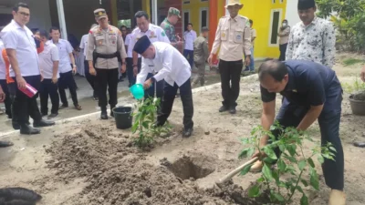 Gerakan Tanam Pangan di Muba Sasar PNS Hingga Kades
