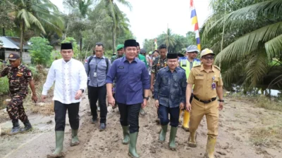 Kunjungi Lalan Muba, Gubernur Respon Keluhan Warga Soal Infrastruktur,  Listrik  dan  Signal  Dikawasan Perairan   