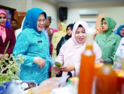 Ada gelaran mini expo di Muba