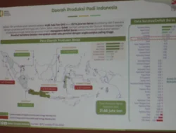 Tingkatkan Produksi Pangan, Gubernur Sumsel Maksimalkan Bidang Pertanian