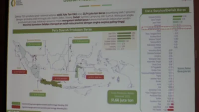 Tingkatkan Produksi Pangan, Gubernur Sumsel Maksimalkan Bidang Pertanian