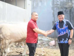 Sambut Hari Raya Idul Adha, Gubernur Serahkan Sapi Kurban