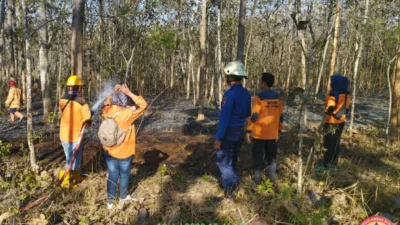 Waspada Saat Musim Kemarau, Karhutla Mengintai, Ini Telah Terjadi di Jateng