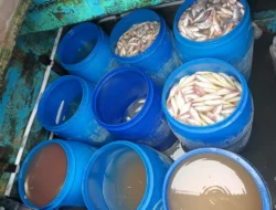 Diduga Lakukan Ilegal Fishing, 2 Kapal Berbendera Malaysia Ditangkap