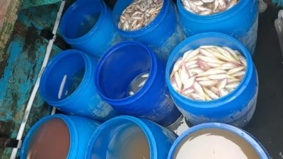 Diduga Lakukan Ilegal Fishing, 2 Kapal Berbendera Malaysia Ditangkap