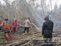 Tim Satgas Karhutla Terus Padamkan Titik Api di OKI