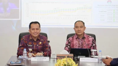 Pertumbuhan Ekonomi Sumsel Tertinggi Kedua di Sumatera, Capai 5,08 Persen