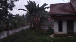 Hujan..