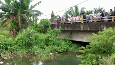 Pj Gubernur Elen Setiadi Dampingi Wamendagri Tinjau Saluran Irigasi Pertanian Di Kawasan Tanjung Lago Banyuasin