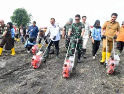Sumsel Luncurkan Program Penanaman Jagung Serentak Satu Juta Hektar, Dukung Swasembada Pangan 2025