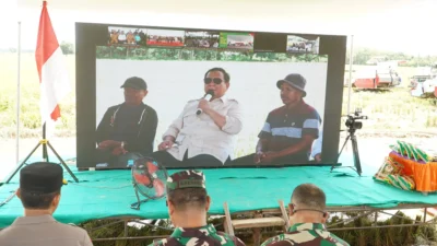 Usai Lebaran, Herman Deru Ikut Panen Raya Serentak Bersama Presiden Prabowo di Kabupaten OKI