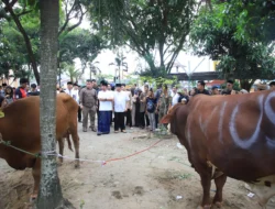 Gubernur Sumsel Herman Deru Tinjau Pemotongan Kurban Usai Open House Iduladha: Wujud Kepedulian dan Semangat Kebersamaan