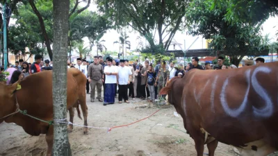 Gubernur Sumsel Herman Deru Tinjau Pemotongan Kurban Usai Open House Iduladha: Wujud Kepedulian dan Semangat Kebersamaan