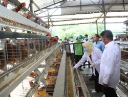 Banyuasin Jadi Role Model, Herman Deru Canangkan Era Baru Peternakan Modern di Sumsel