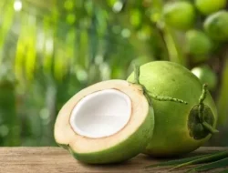 Kaya Nutrisi dan Serbaguna, Buah Kelapa Jadi Primadona untuk Kesehatan Kelapa bukan sekadar pelengkap sajian tradisional atau bahan dasar santan.