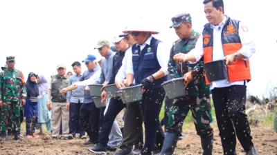 Gubernur Herman Deru Pimpin Tanam Padi Serentak di Banyuasin, Perkuat Sumsel sebagai Lumbung Pangan Nasional