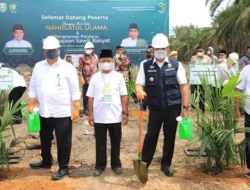 Petani Sawit Muara Enim Kebagian Bantuan Program Peremajaan Sawit, Menteri Airlangga Bilang Begini..