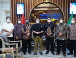 Agar Jadi Raja di Daerahnya Sendiri, Pembangunan di Sumsel Perlu Gunakan Produk Lokal, Salah Satunya Ini Dong..
