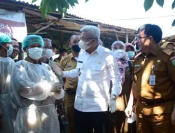 Pemprov Sumsel Sebar 12 Ribu Vaksin, Cegah Wabah PMK Pada Hewan Ternak   