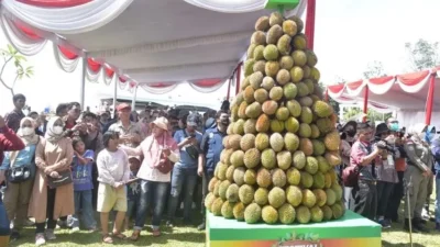 Buka Festival Durian,  Gubernur Akui Citarasa  Durian Muara Enim, Tak Kalah Dengan Durian  Impor