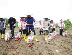 Tingkatkan Produksi, OKI Tanam Jagung Dengan Polda Corporate Framing