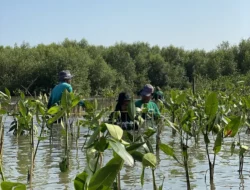 LindungiHutan dan Mitra Hijau Tanam 86.000++ Pohon dari Januari-Agustus 2023