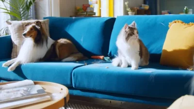 Hari dalam Hidupku: Barry si Kucing dan Peralatan Rumah Tangga Samsung