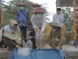 Sentra Komiditas Ikan Gabus Ada di Daerah Ini, Perlu Dikembangkan  Kampung Perikanan Budidaya dengan Bawa Kearifan Lokal, KKP Beberkan Harapannya