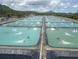 Kembangkan Konsep Bluefood Sebagai Solusi Krisis Pangan, KKP Fokus Soal Ini..