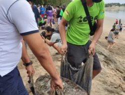 Lepasliarkan  Puluhan Ekor Penyu di Pantai Kuta