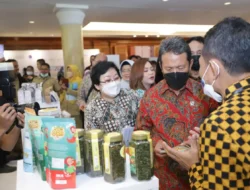 Garap Rumput Laut Yuk !