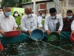 Budidaya Ikan Terapkan Sistem Bioflok Berbasis Ekonomi Biru, Contohnya Santri Juga Didorong Gunakan Konsep Itu,Baca Yuk !