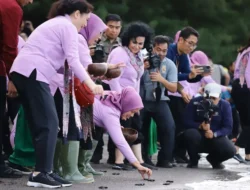 Begini Alasannya Kenapa Pelajar Penting Diedukasi terkait Pelestarian Penyu ?