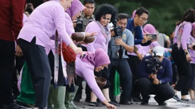 Begini Alasannya Kenapa Pelajar Penting Diedukasi terkait Pelestarian Penyu ?