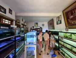 Ada Keluhan di Medsos dari Pelaku Ikan Hias, Respon Cepat, KKP Lakukan Ini..