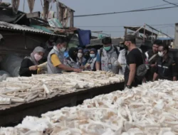 Cara KKP tingkatkan pengendalian perdagangan hiu & pari