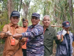Lestarikan Hewan Langka, Dua Beruang Madu Dilepasliarkan