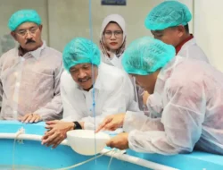 Program Induk Udang Vaname Unggul Nusa Dewa, Ini Hasilnya..