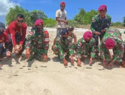 Lepas Tukik di Pulau Ujung Selatan Indonesia
