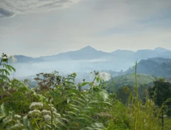 Begini Hasilnya, Tangkap Keindahan Alam Lebih Epic dengan Galaxy S23 Ultra 5G