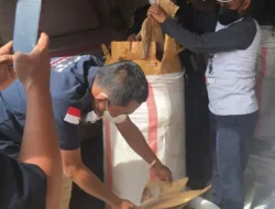 KKP Proses Hukum Pelaku Perdagangan Sirip Hiu di Kota Bau-bau