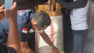 KKP Proses Hukum Pelaku Perdagangan Sirip Hiu di Kota Bau-bau